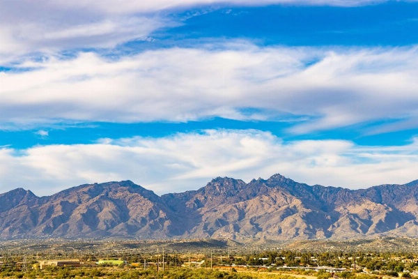 Hilton Tucson East image 3